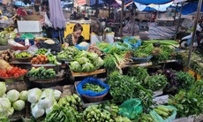 Hà Nội: Kiểm tra ngẫu nhiên mẫu thực phẩm tại chợ dân sinh để kiểm soát an toàn thực phẩm