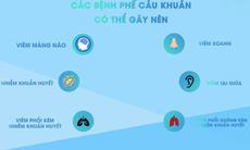 Những sự thật về phế cầu khuẩn có thể bạn chưa biết