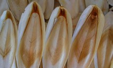 Cách sử dụng mai mực hỗ trợ chữa đau dạ dày
