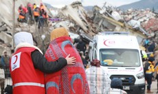 Hội Chữ thập đỏ Việt Nam kêu gọi ủng hộ nhân dân Thổ Nhĩ Kỳ và Syria khắc phục thảm họa động đất