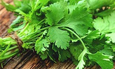 Công dụng tuyệt vời của rau thơm có thể bạn chưa biết