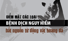 [Infographic] Điểm mặt các loại bệnh dịch nguy hiểm bắt nguồn từ động vật hoang dã