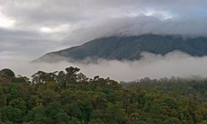 Giải cứu con tin ở Papua New Guinea