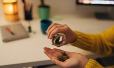 Sử dụng cần sa thường xuyên có thể làm tăng nguy cơ mắc bệnh tim