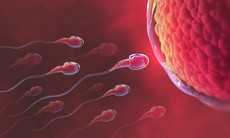 Khả năng di chuyển của tinh trùng ảnh hưởng đến khả năng thụ thai như thế nào?