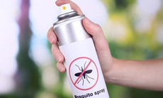 Diệt muỗi an toàn, đừng lạm dụng thuốc hóa học