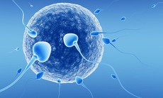 Tinh dịch loãng có ảnh hưởng đến khả năng sinh sản của nam giới?