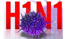 Virus cúm A/H1N1 có thể tồn tại 1-2 ngày và có tốc độ lây lan “chóng mặt”