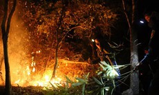 Điện Biên: Cháy rừng sản xuất, hàng chục người nỗ lực dập lửa