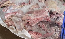 Phát hiện điểm trữ hơn 1,7 tấn thịt lợn bốc mùi hôi thối
