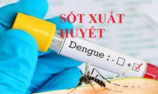 Nguyên nhân dẫn đến sốc ở bệnh sốt xuất huyết Dengue