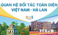 [Infographics] Quan hệ đối tác toàn diện Việt Nam-Hà Lan