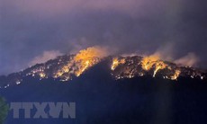 Đà Lạt: 10ha rừng thông bị ảnh hưởng sau vụ cháy trên đèo Prenn