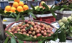 Hà Nội: Mơ mận đầu mùa đổ bộ chợ dân sinh, giá cao vẫn hút khách