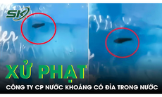 "Tiêu hủy chứng cứ" trong vụ có đỉa trong bình nước: Mức phạt khó tin