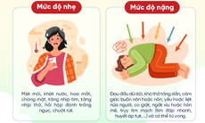 [Infographic] Hướng dẫn chăm sóc sức khỏe mùa nắng nóng cho cộng đồng và người lao động 