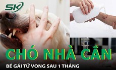 Sau 1 tháng bị chó nhà cắn, bé gái lên cơn sốt, co giật rồi tử vong