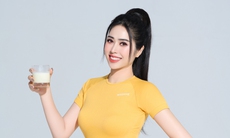 Bữa ăn lành mạnh thuần chay giúp tăng cường sức khỏe hệ miễn dịch