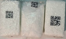 Tạm đình chỉ một phi công nghi vấn dương tính với ketamine