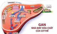 Phục hồi chức năng gan: Đừng để "nước đến chân mới nhảy"!