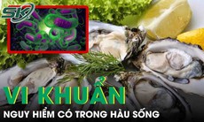 Vi khuẩn nguy hiểm có trong hàu sống