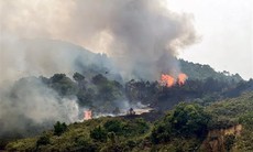 Đau lòng cháy rừng ở Quảng Ninh khiến hai người dân tử vong