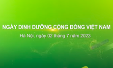 Có gì thú vị ở Ngày Dinh dưỡng cộng đồng Việt Nam tại Bờ Hồ sáng 2/7?