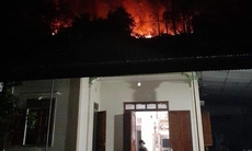 Cháy rừng dữ dội trong đêm ở núi Bàu, sơ tán gấp người già và trẻ nhỏ