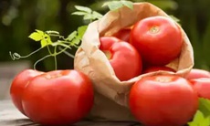 Mất mùa do thời tiết cực đoan, cà chua ở Ấn Độ tăng giá gấp 4-5 lần