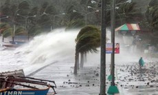 2 kịch bản ứng phó với áp thấp nhiệt đới mạnh lên thành bão số 1