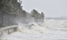 Công điện của Ban Chỉ đạo Quốc gia về phòng, chống thiên tai: Chủ động ứng phó với cơn bão số 1 (TALIM)