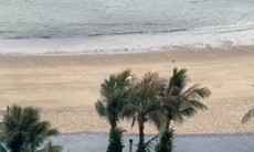 Nhiều du khách mắc kẹt tại đảo Cát Bà (Hải Phòng) do ảnh hưởng của cơn bão số 1 Talim