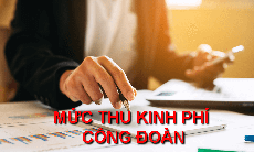 Nghiên cứu, giảm mức phí công đoàn từ 2% xuống 1%