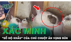 Thực hư quán bún mất vệ sinh để chuột ăn bún ở Xuân La