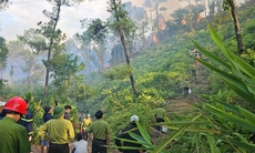 Hàng chục người đang chữa cháy rừng thông ở Thừa Thiên Huế