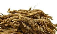 Một số bài thuốc chữa bệnh từ hoàng cầm