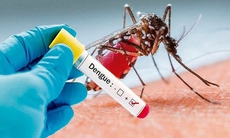 Sốt xuất huyết dengue khi nào cần xét nghiệm?