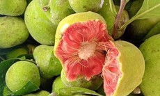 Loại quả vị chua chua, ruột hồng bắt mắt giá ngang trái cây nhập khẩu ở Hà Nội vẫn đắt khách