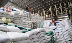 Giá gạo Việt Nam, Thái Lan tăng mạnh sau lệnh cấm xuất khẩu của Ấn Độ