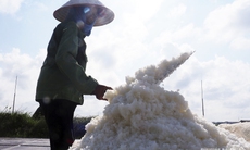 ĐBQH Nguyễn Anh Trí: Vì sao Việt Nam có bờ biển dài nhưng vẫn phải nhập khẩu muối?