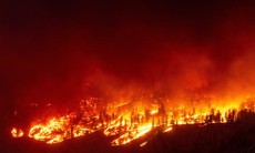 Canada: Bang British Columbia tuyên bố tình trạng khẩn cấp vì cháy rừng