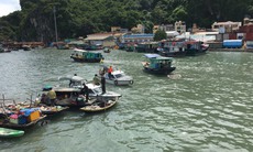 Quảng Ninh: Các phương tiện thủy dừng neo đậu ven bờ Vịnh Hạ Long