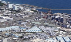 Mẫu nước biển gần nhà máy Fukushima số 1 không chứa tritium