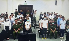 Vụ 'thổi giá' cây xanh ông Nguyễn Đức Chung bị đề nghị 2-3 năm tù