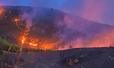 Huy động hàng trăm người chữa cháy rừng