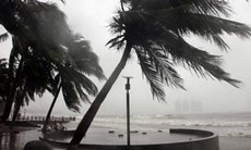 Siêu bão Saola quét qua Philippines khiến hàng trăm người phải sơ tán