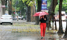 Thời tiết hôm nay 29/8: Bắc Bộ giảm mưa, Nam Bộ vẫn mưa to về chiều tối