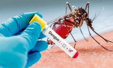 Hơn 66.000 ca mắc, 14 bệnh nhân tử vong do sốt xuất huyết, tuýp virus nào gây bệnh này năm nay?