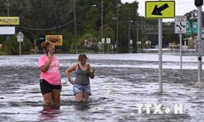 Mỹ: Bang Florida tập trung khắc phục hậu quả bão Idalia
