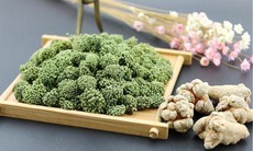 Những kiêng kỵ khi dùng bột, nụ hoa tam thất